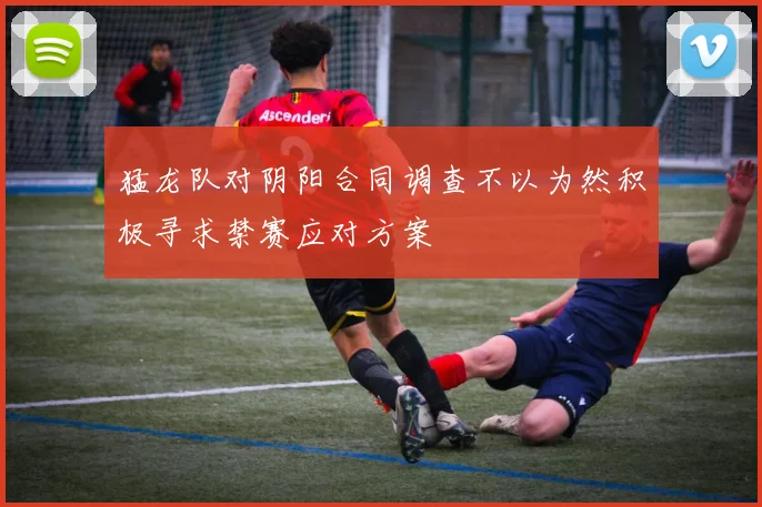 猛龙队对阴阳合同调查不以为然积极寻求禁赛应对方案
